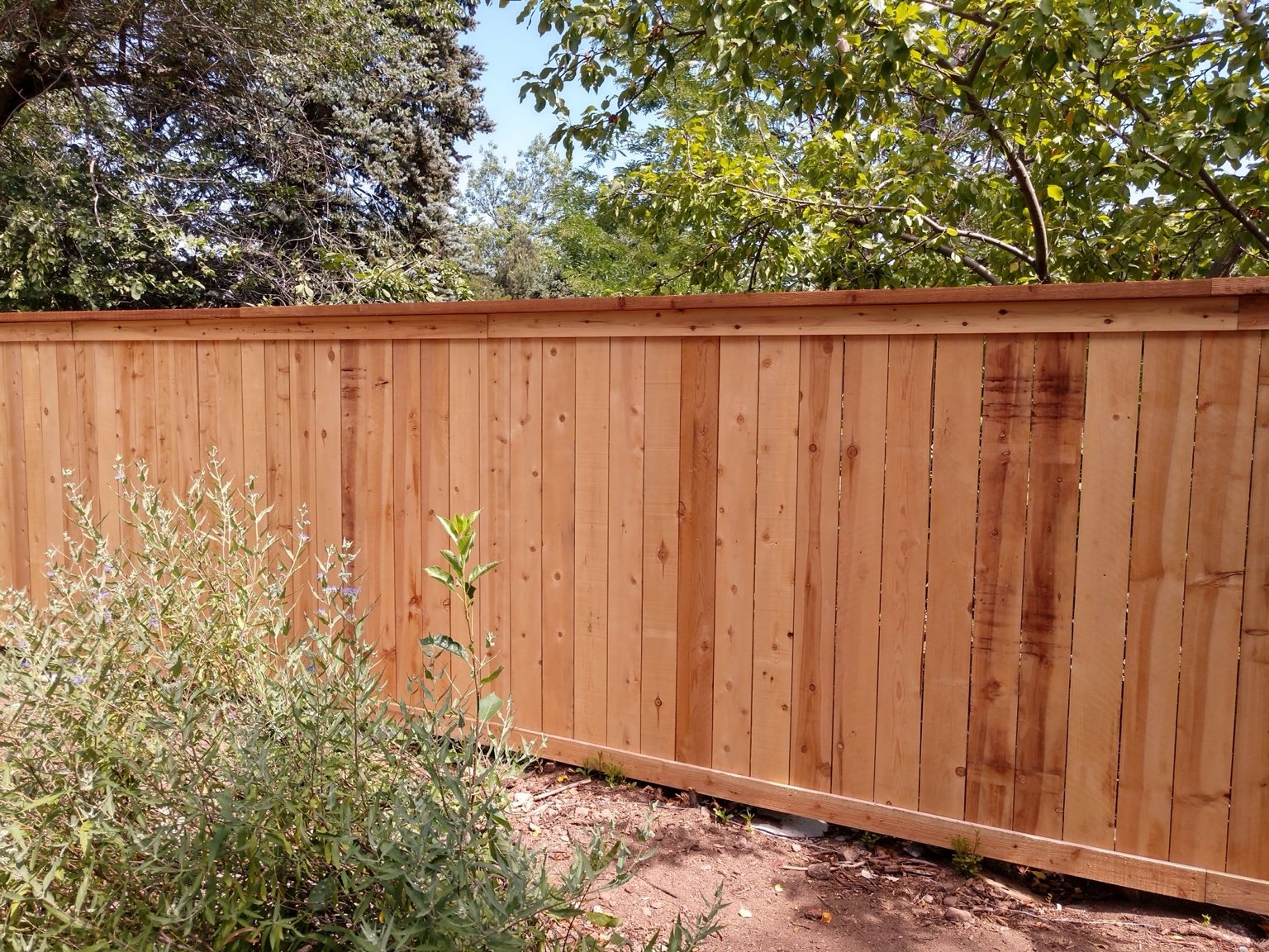 Natural vertical board wooden fence